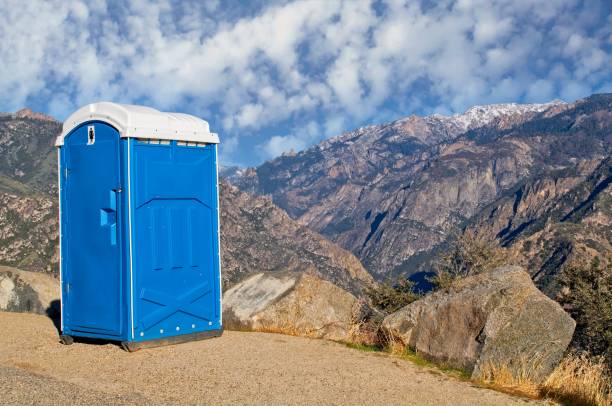 Best Portable Toilet Rental for Emergency Services  in Palmhurst, TX